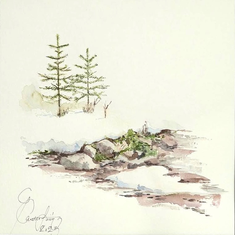 Metsämaisema